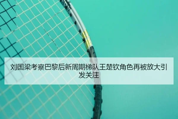 刘国梁考察巴黎后新周期梯队王楚钦角色再被放大引发关注