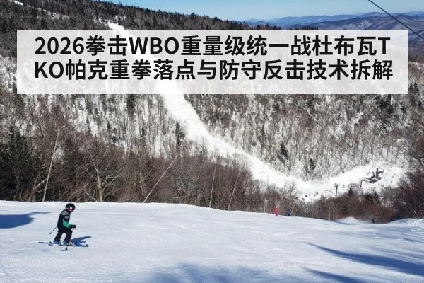 2026拳击WBO重量级统一战杜布瓦TKO帕克重拳落点与防守反击技术拆解（KAIYUN SPORTS）